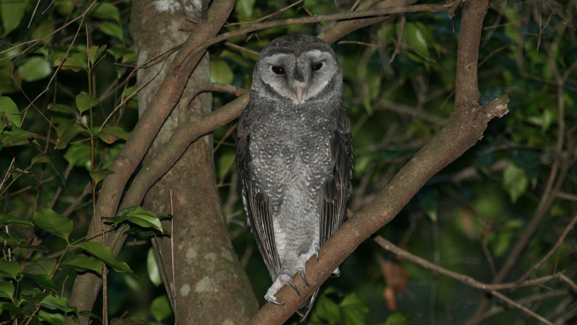 Mouvements des populations