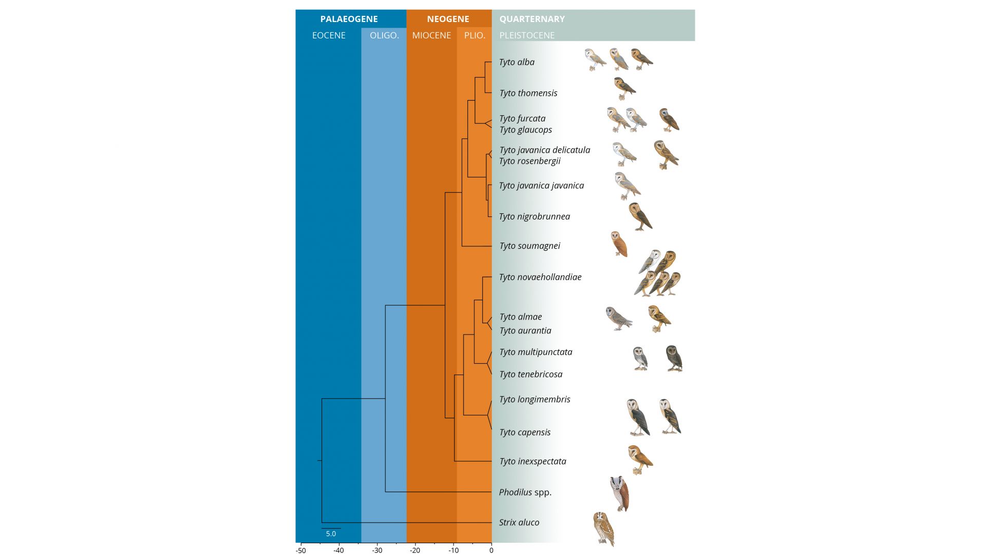 Mouvements des populations